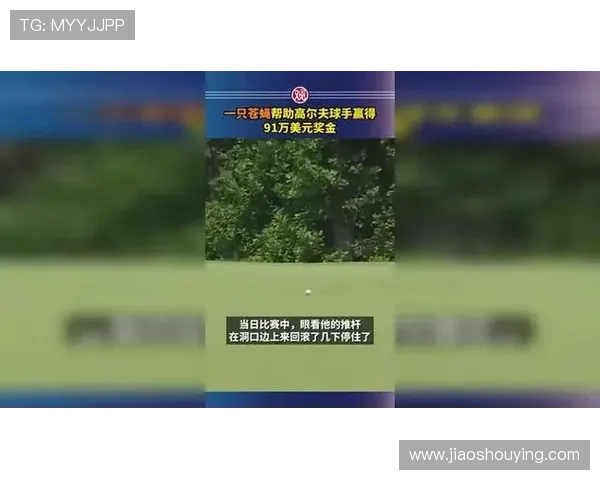 苍蝇意外助攻高尔夫球手逆袭夺冠赢得91万美元大奖 苍蝇意外助攻高尔夫球手逆袭夺冠赢得91万美元大奖